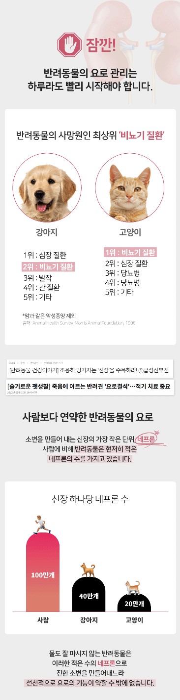 [무료배송] 프롬더셀 유레날 요로건강 케어 올인원 영양제 90캡슐 8번째