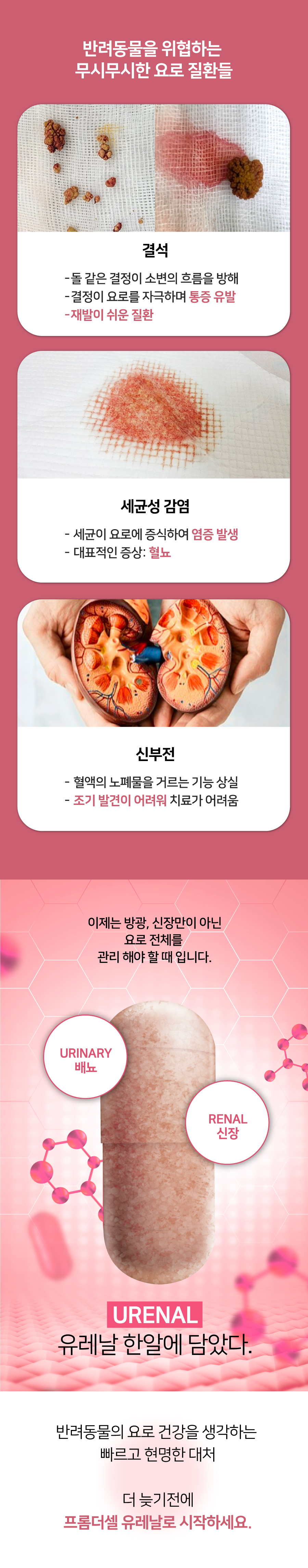 [무료배송] 프롬더셀 유레날 요로건강 케어 올인원 영양제 90캡슐 9번째
