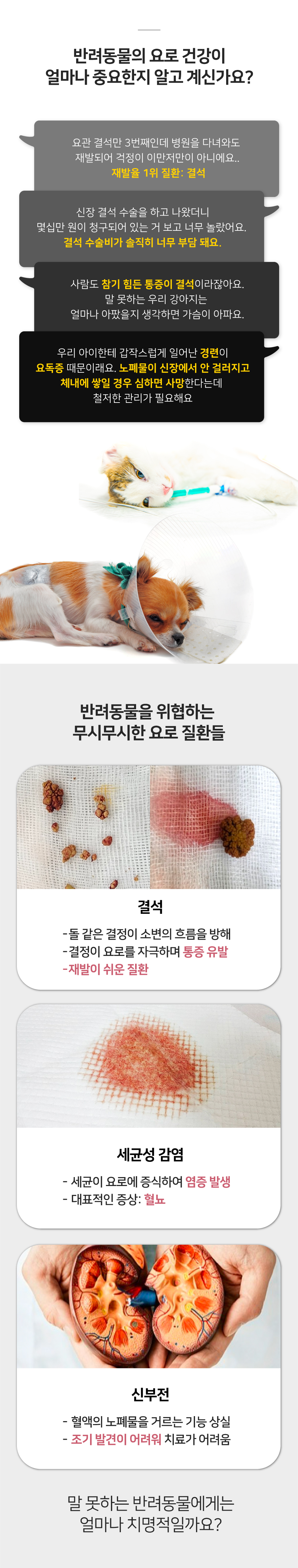 [무료배송] 프롬더셀 유레날 요로건강 케어 올인원 영양제 90캡슐 4번째