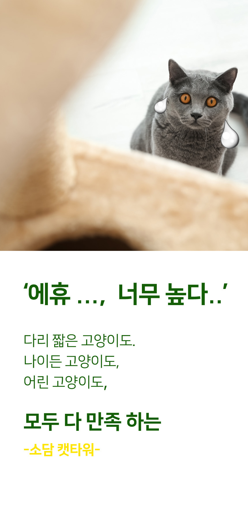 [무료배송] 뽀떼 스테인레스 소담 캣타워 3번째