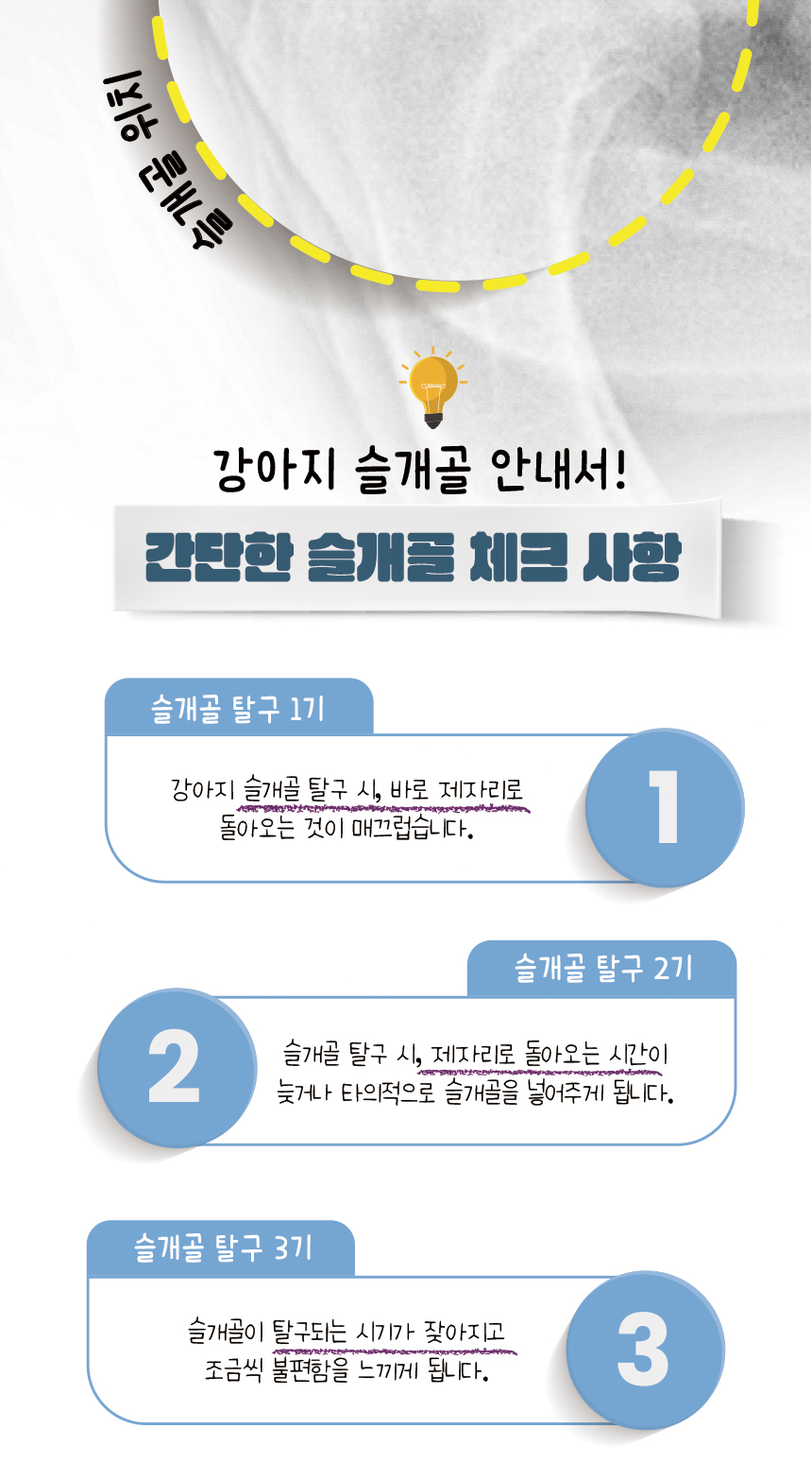 [무료배송] 애구애구 독 미끄럼방지 매트 10매 브라운/그레이/샌드/크림/그린 4번째