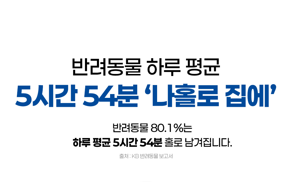 [체험단] 펫애즈 펫S 분리불안 영양제 2g*30p 6번째