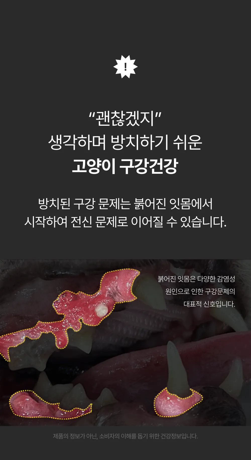 프로젝트21 캣 비오덴트 오랄케어 2g*30p 1번째