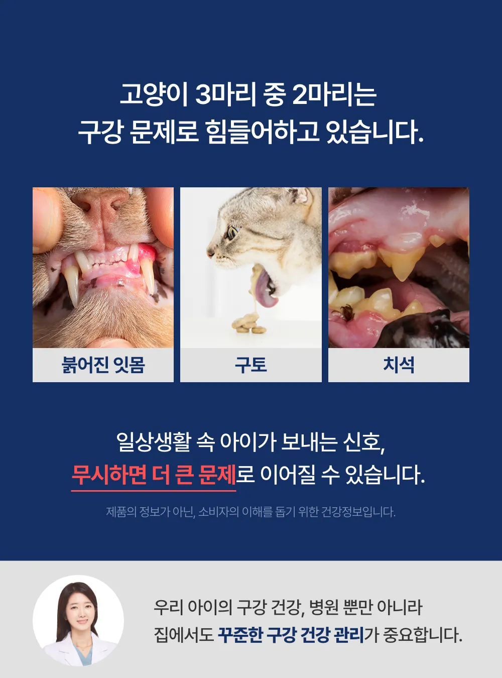 프로젝트21 캣 비오덴트 오랄케어 2g*30p 6번째