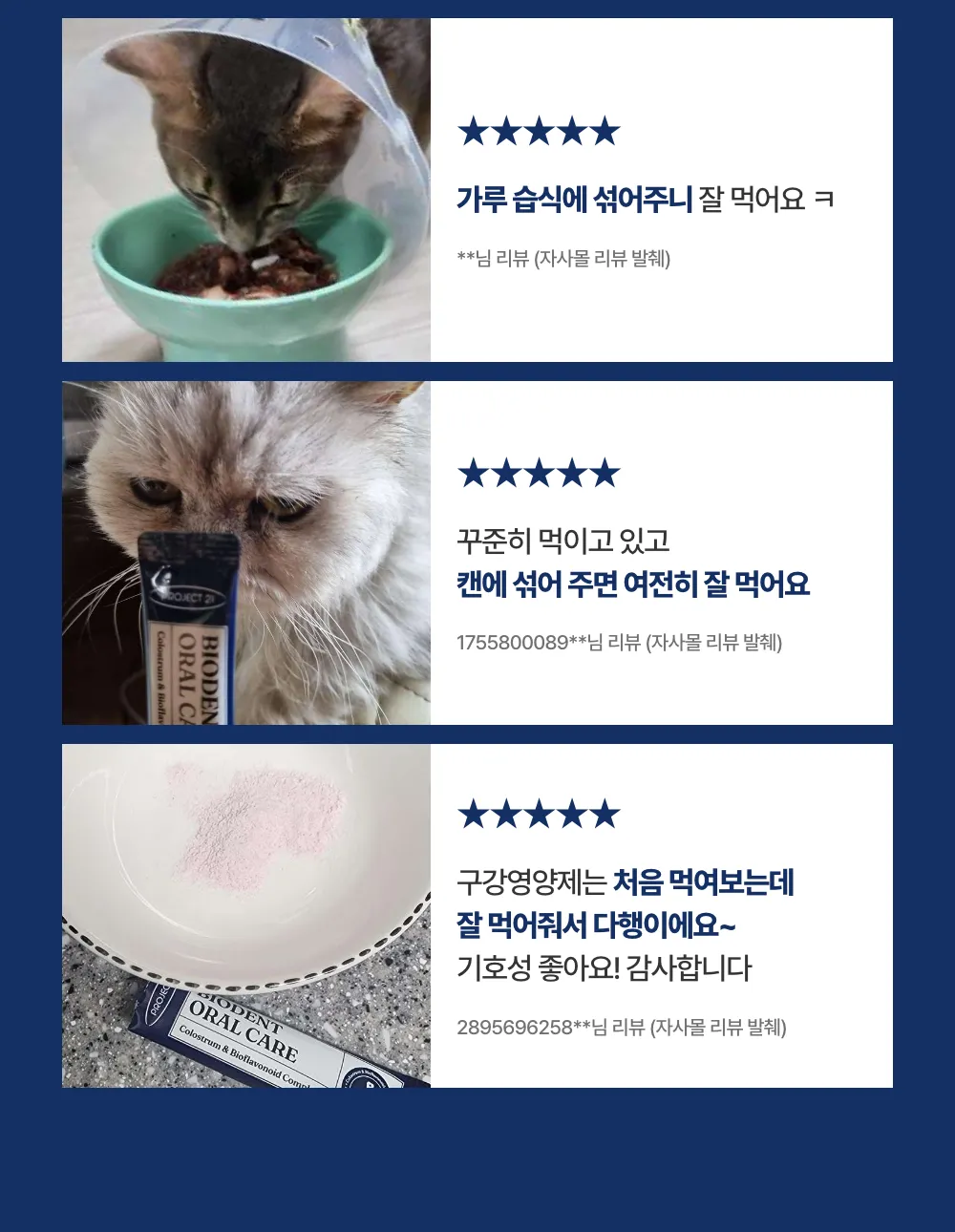 프로젝트21 캣 비오덴트 오랄케어 2g*30p 15번째