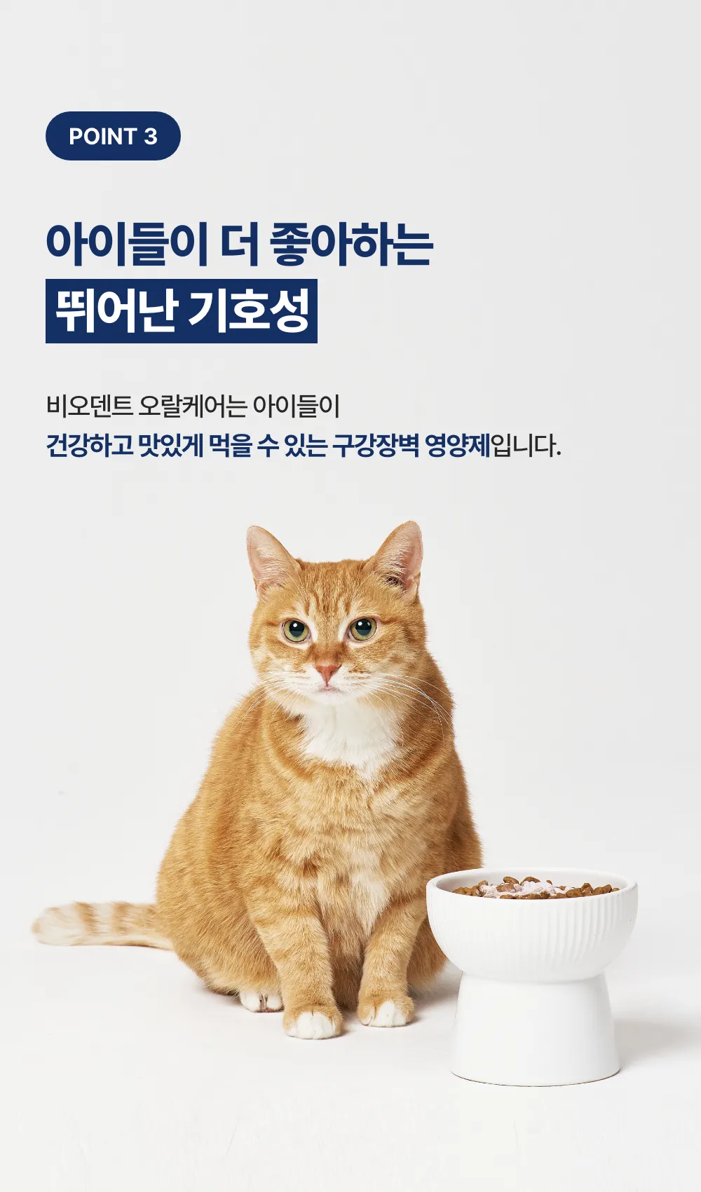 프로젝트21 캣 비오덴트 오랄케어 2g*30p 13번째