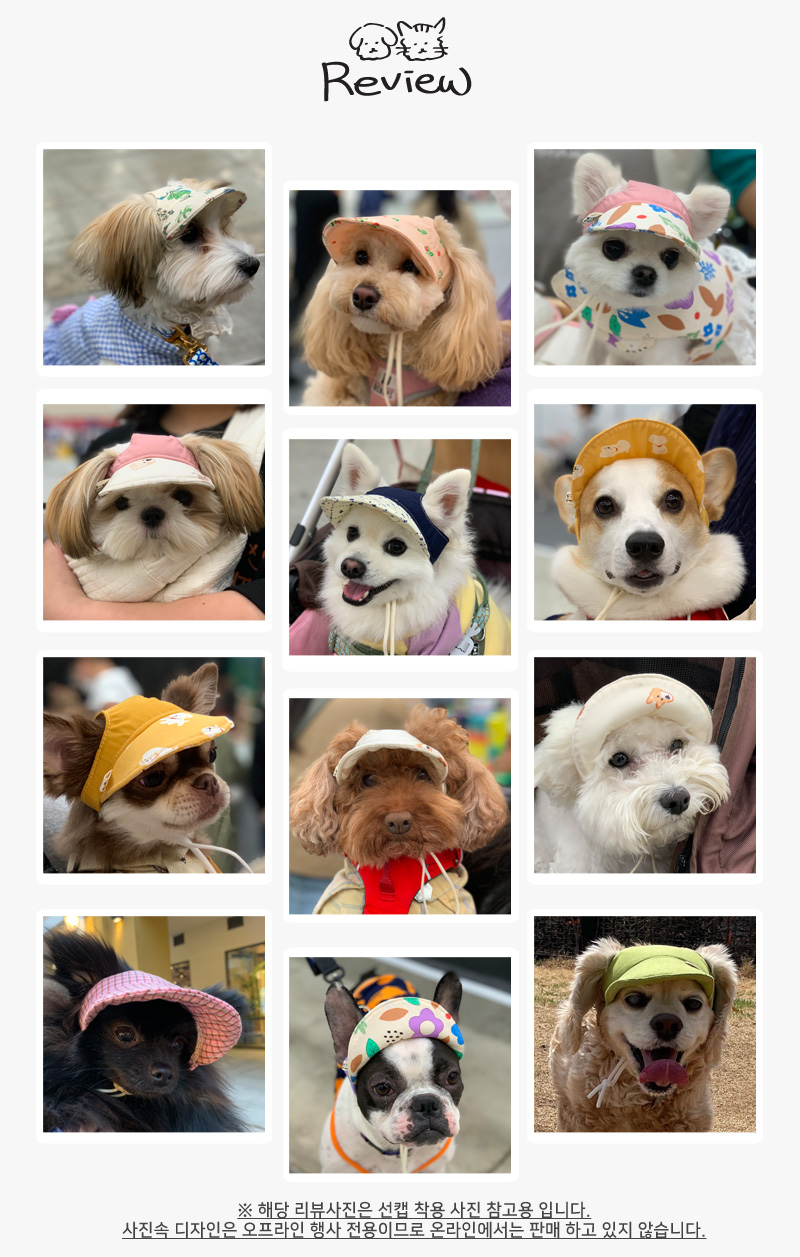 [무료배송] 개달당 봉봉 골덴 리본 선캡 4colors 5번째