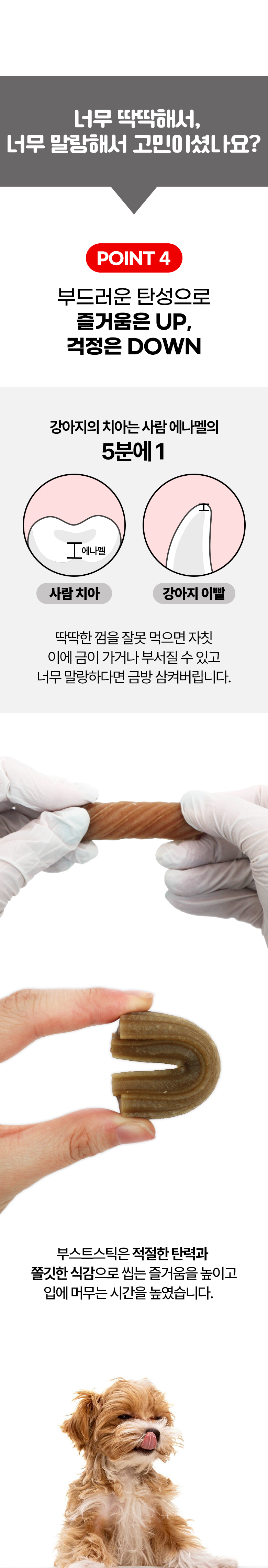 붐붐포 독 원데이 부스트스틱 덴탈껌 눈건강 15p 5번째