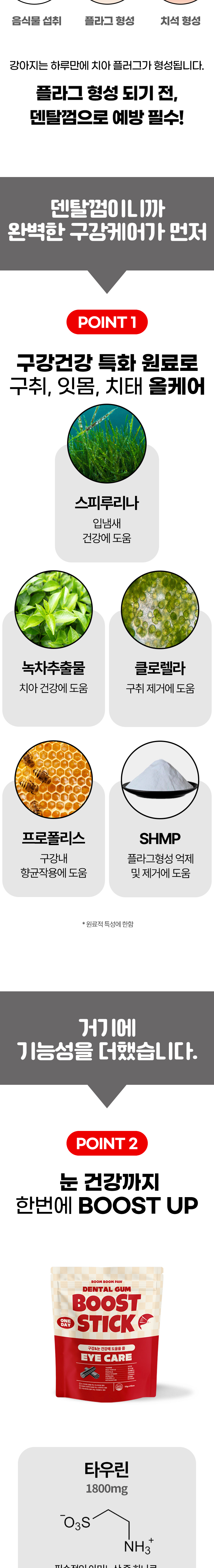 붐붐포 독 원데이 부스트스틱 덴탈껌 눈건강 15p 2번째