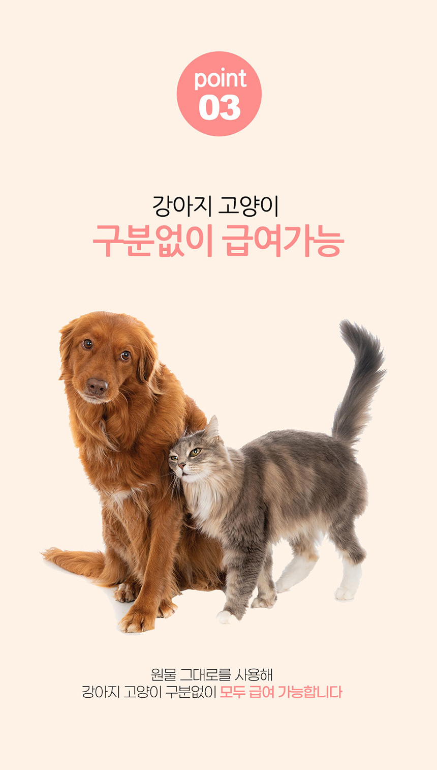 [무료배송] 인뮤즈 챱챱 동결건조 트릿 북어90g/치킨100g 5번째