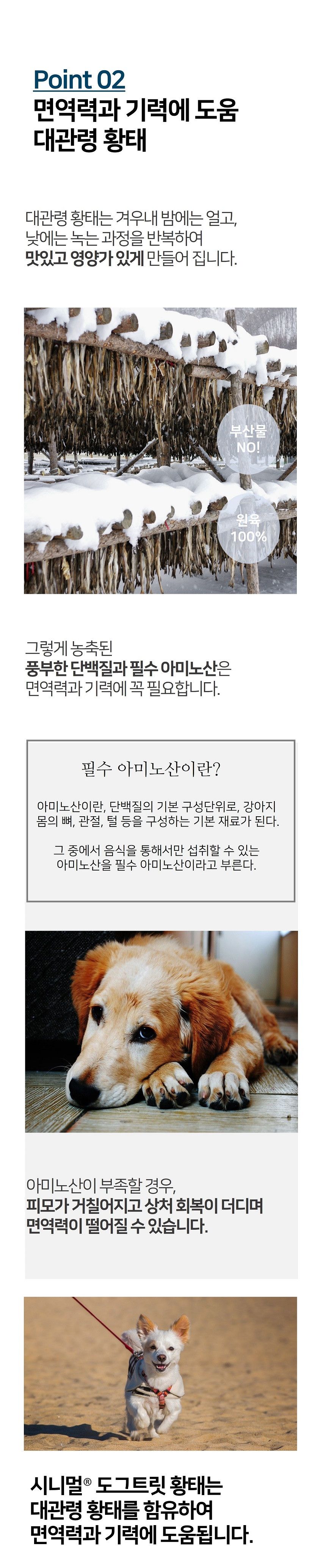 시니멀 독 트릿 황태 80g 6번째