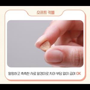 [체험단] 윌로펫 독 뉴트리탑 면역 30g 5번째