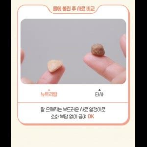 [체험단] 윌로펫 독 뉴트리탑 면역 30g 6번째