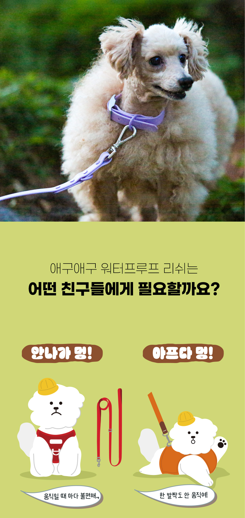 [무료배송] 애구애구 독 워터프루프 아쿠아 목줄 리드줄 Set 9번째