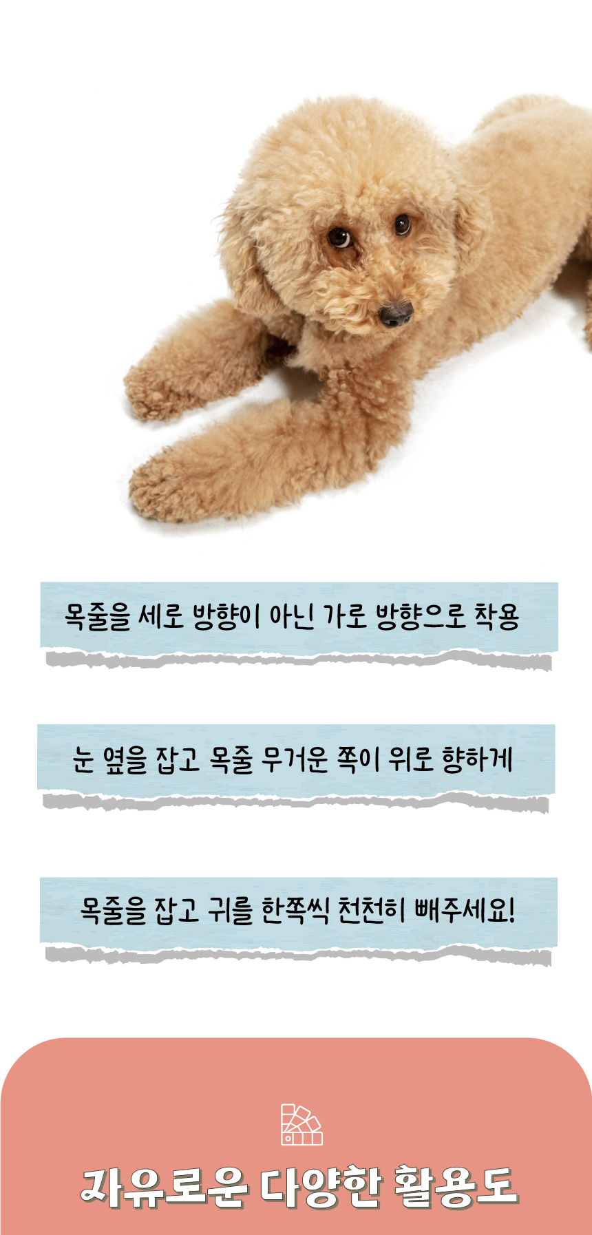 [무료배송] 애구애구 독 워터프루프 아쿠아 목줄 리드줄 Set 20번째