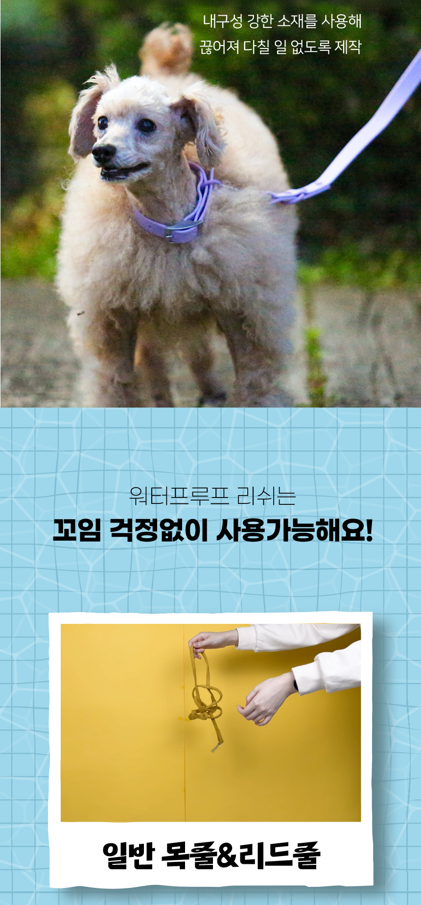 [무료배송] 애구애구 독 워터프루프 아쿠아 목줄 리드줄 Set 18번째
