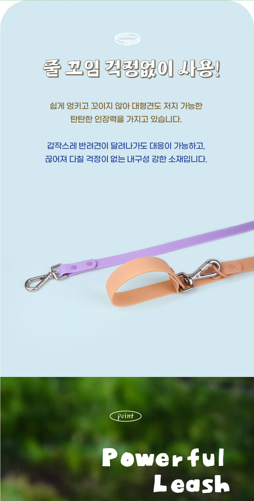 [무료배송] 애구애구 독 워터프루프 아쿠아 목줄 리드줄 Set 17번째