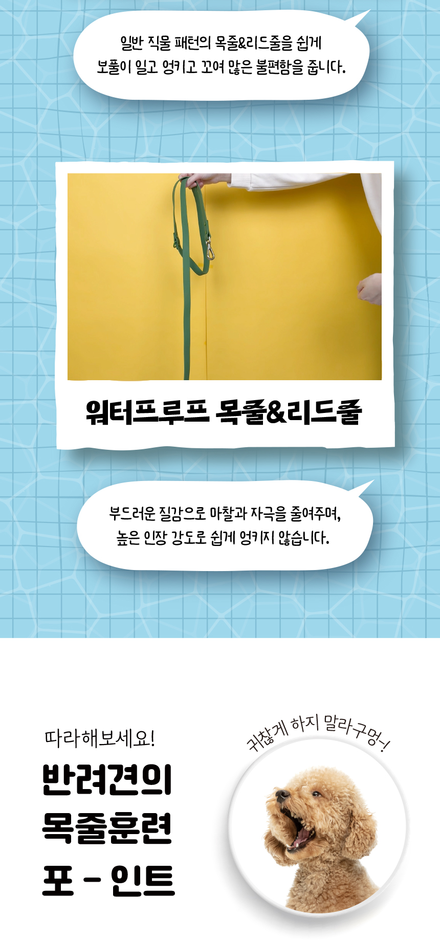 [무료배송] 애구애구 독 워터프루프 아쿠아 목줄 리드줄 Set 19번째