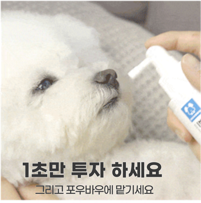 [NEW신상][무료배송] 포우바우 프라글린스 엔자임 펫 오랄 솔루션 100g 18번째