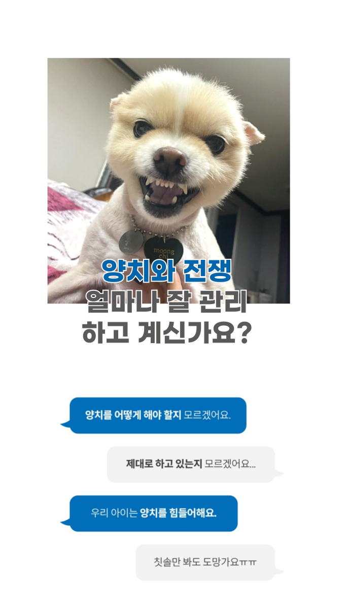 [NEW신상][무료배송] 포우바우 프라글린스 엔자임 펫 오랄 솔루션 100g 5번째