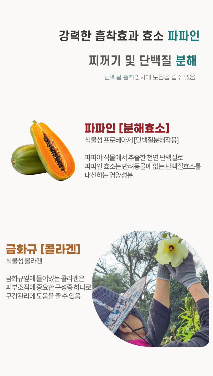 [NEW신상][무료배송] 포우바우 프라글린스 엔자임 펫 오랄 솔루션 100g 14번째