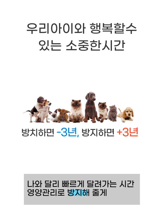 [NEW신상][무료배송] 포우바우 프라글린스 엔자임 펫 오랄 솔루션 100g 11번째