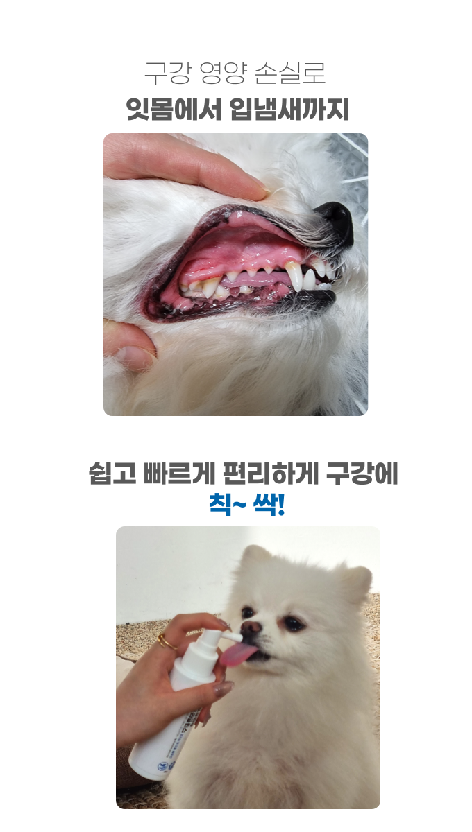 [NEW신상][무료배송] 포우바우 프라글린스 엔자임 펫 오랄 솔루션 100g 10번째
