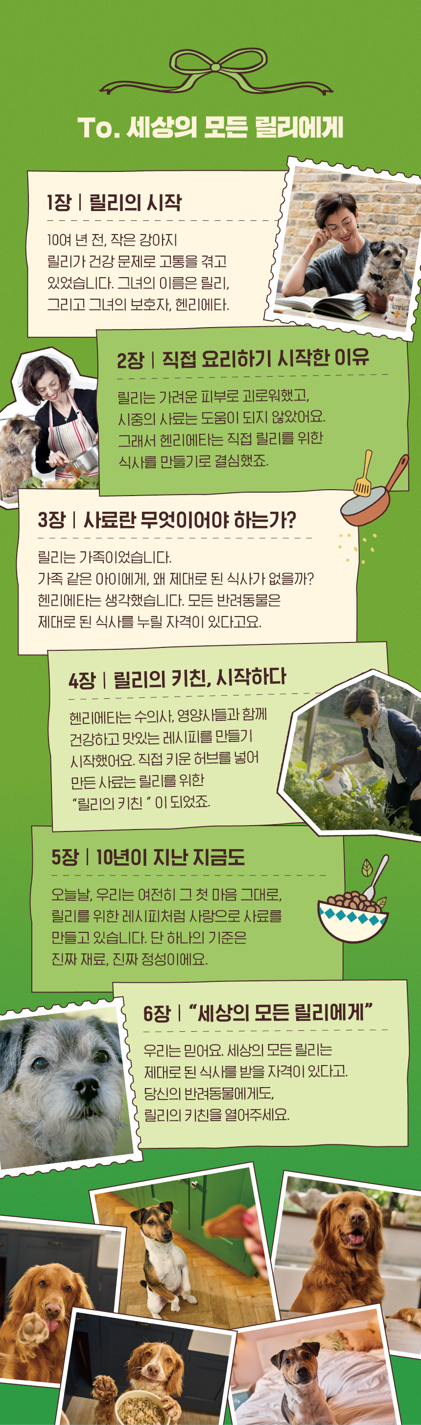[NEW신상][무료배송] 릴리스키친 브랙퍼스트 크런치 오븐베이크 사료 800g 3번째