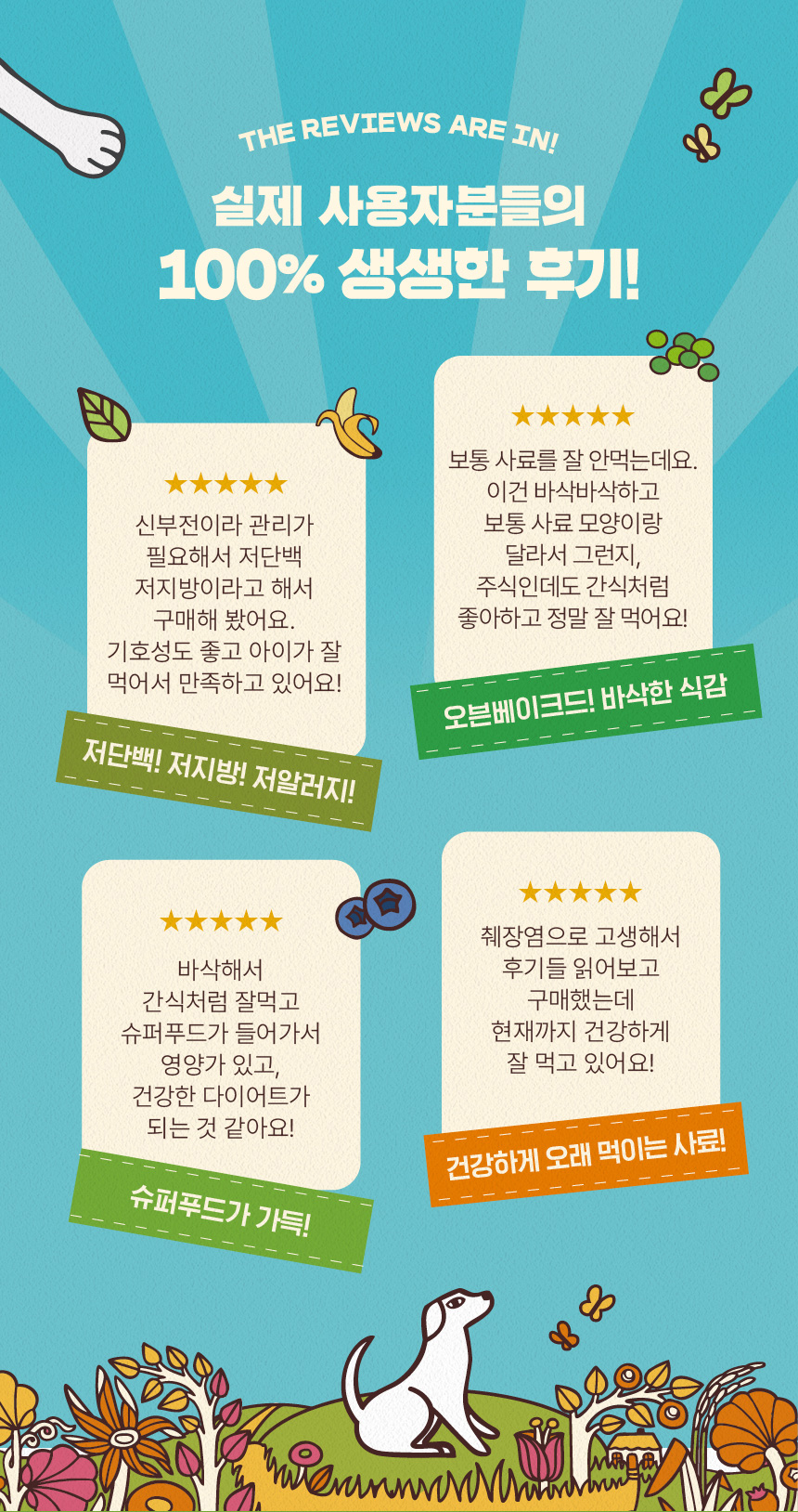 [NEW신상][무료배송] 릴리스키친 브랙퍼스트 크런치 오븐베이크 사료 800g 2번째