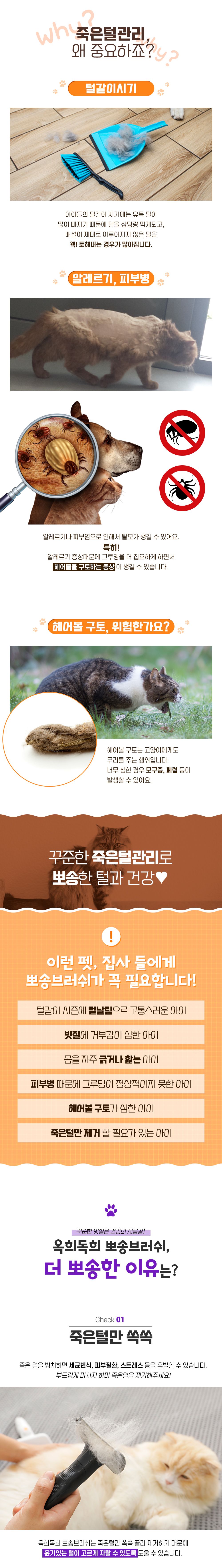 [무료배송] 옥희독희 뽀송 브러쉬 블랙/화이트 6번째