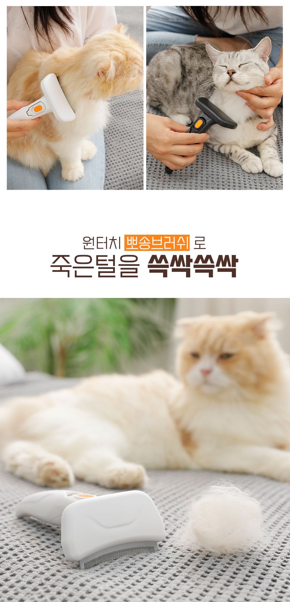 [무료배송] 옥희독희 뽀송 브러쉬 블랙/화이트 4번째