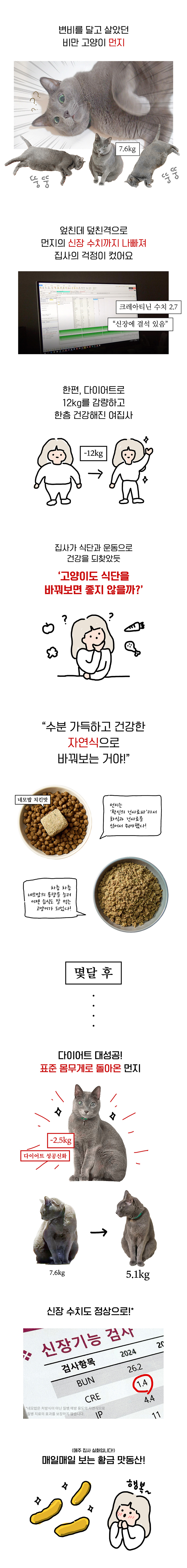 [NEW신상][무료배송] 우루룽 스튜디오 건사료와 함께 먹는 네모밥 화식 30p 4번째