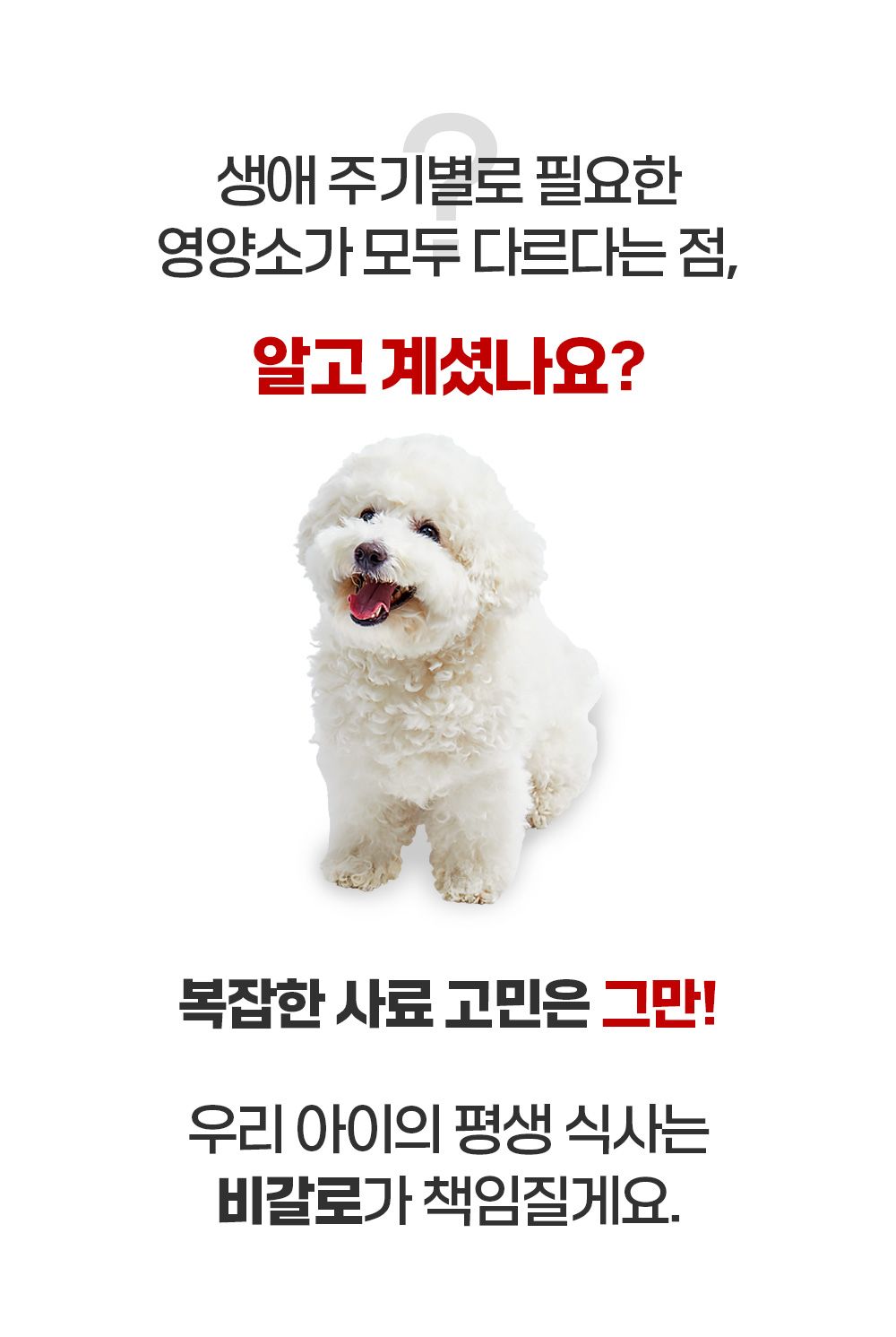 [체험단] 비갈로 스페셜 독 스타터 샘플 50g 9번째