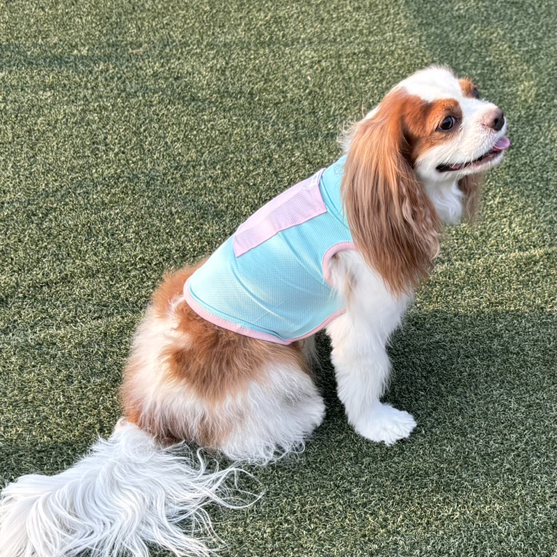 [무료배송] 해피댕댕 투톤쿨조끼 S - 2XL 9번째