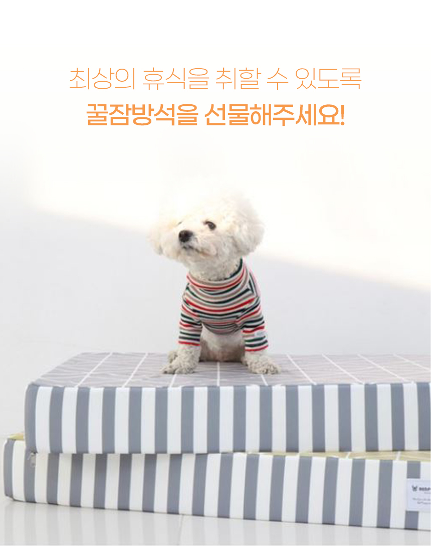 [NEW신상][무료배송] 개과천선 에어링 사각 방석 (아이보리/그레이) 3번째