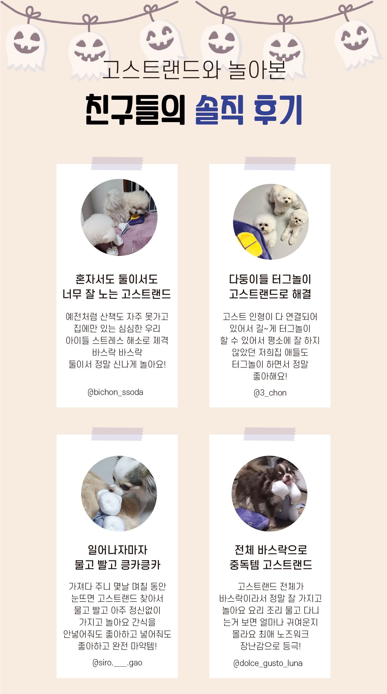 아아랜드 고스트랜드 노즈워크 4번째