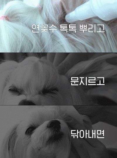 [무료배송] 펫쉴드 더순한 연꽃수 귀세정제 150ml 4번째