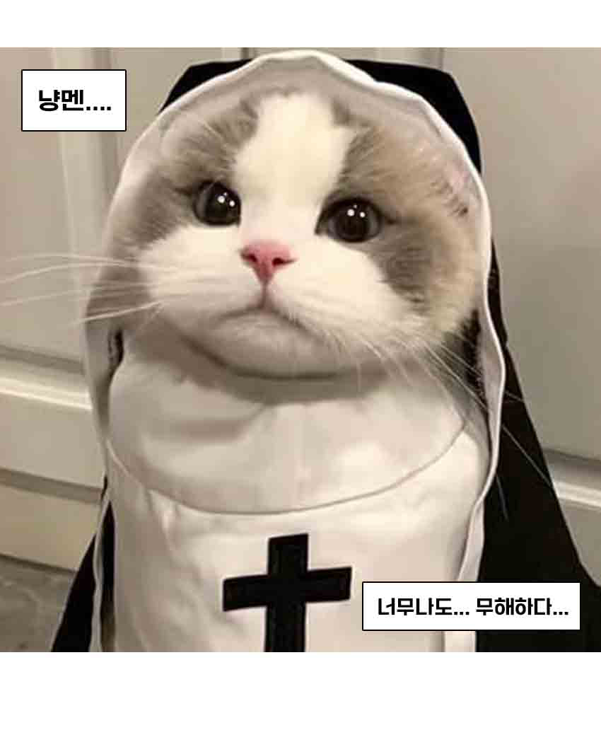 [NEW신상] [무료배송] 도그웨그 수녀복 코스튬 2번째
