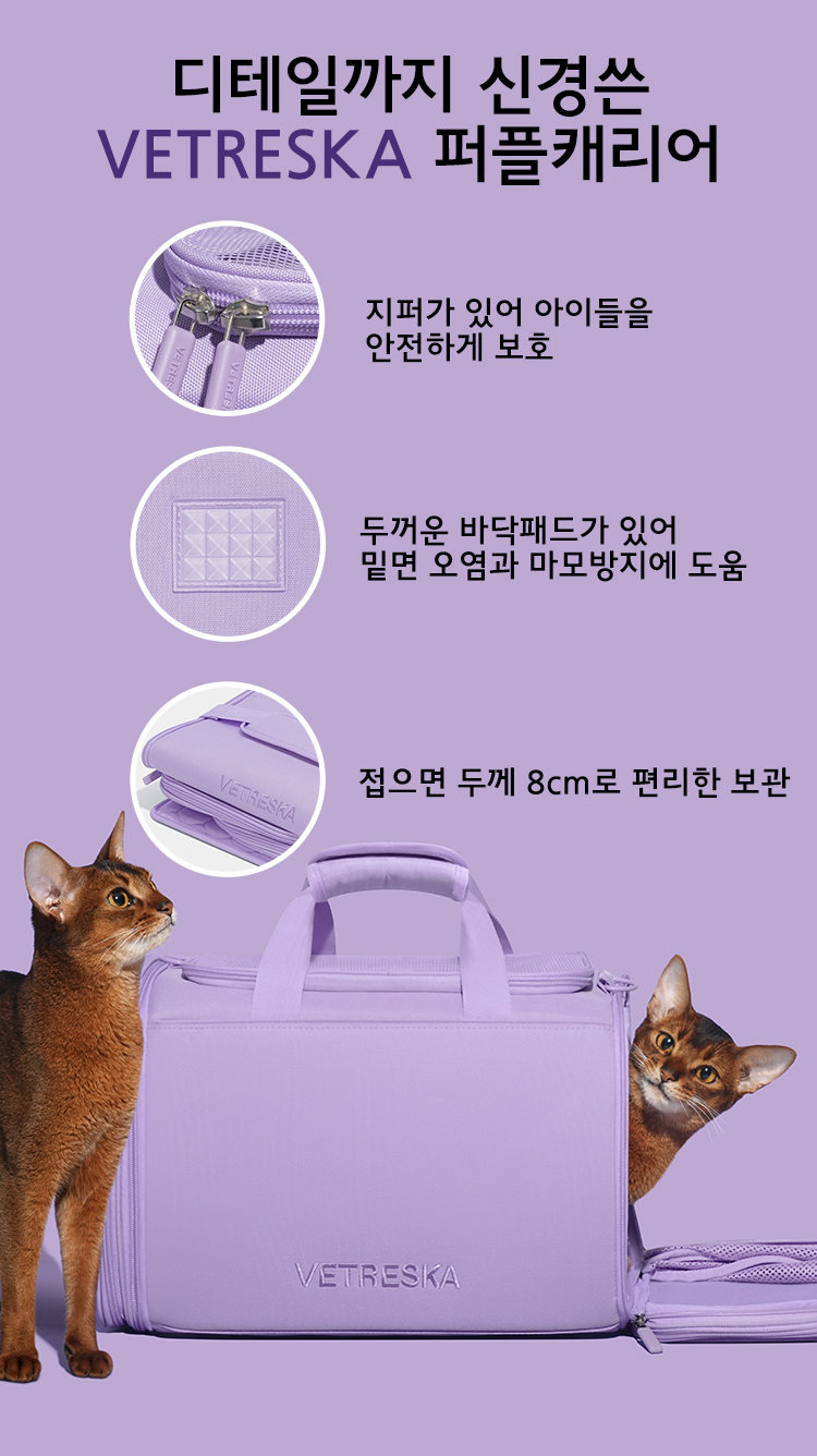 [무료배송] VETRESKA 퍼플 캐리어 7번째