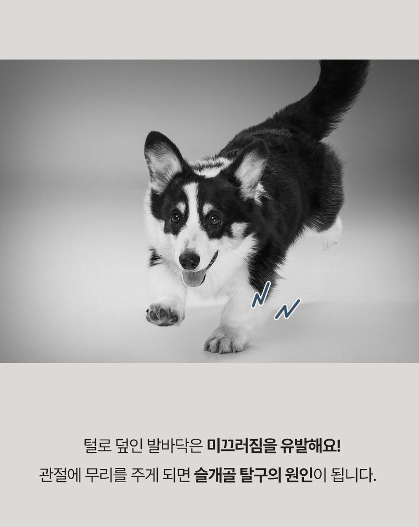 [무료배송] 닉센 멀티프로 부분이발기 NX-1200 5번째
