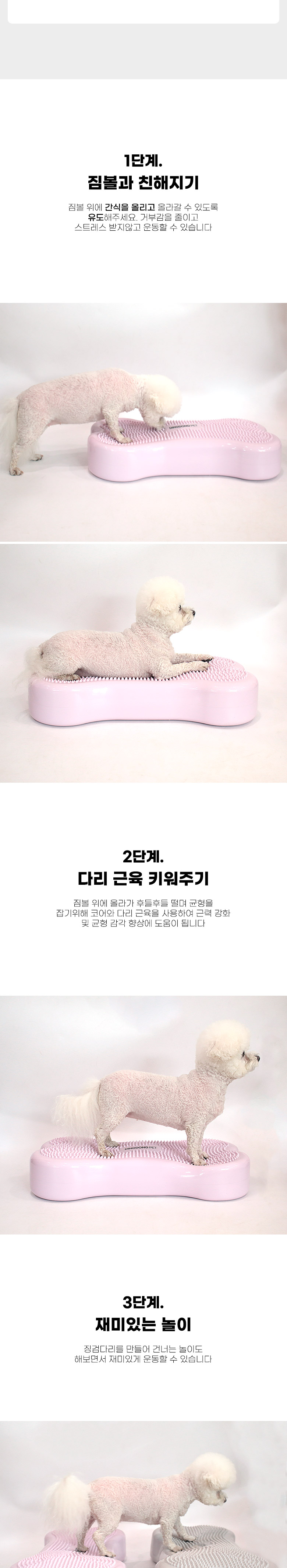 [무료배송] 딩동펫 강아지 입문용 뼈다귀 짐볼 2번째