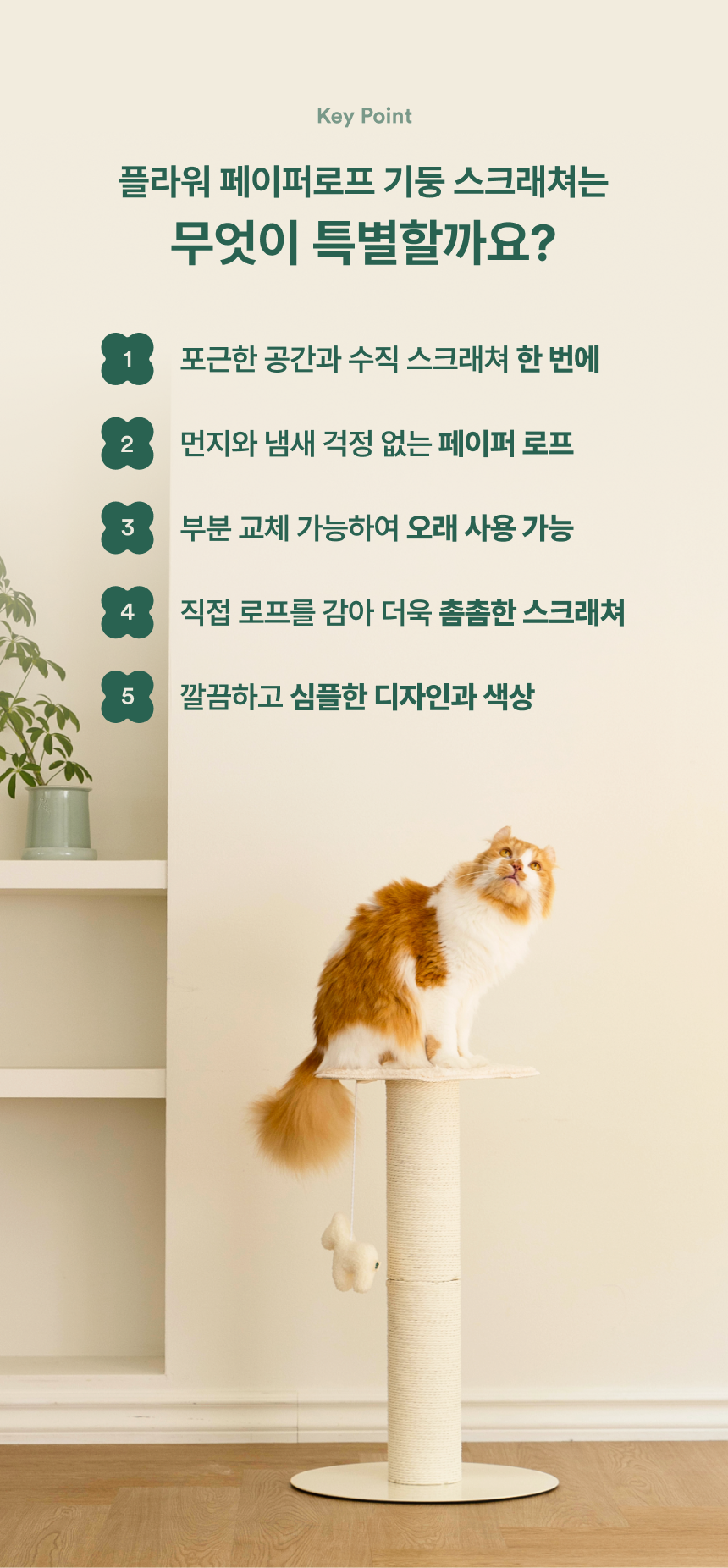 [무료배송] 피도테일 플라워 페이퍼 로프 수직 스크래쳐 화이트/페일베이지 8번째
