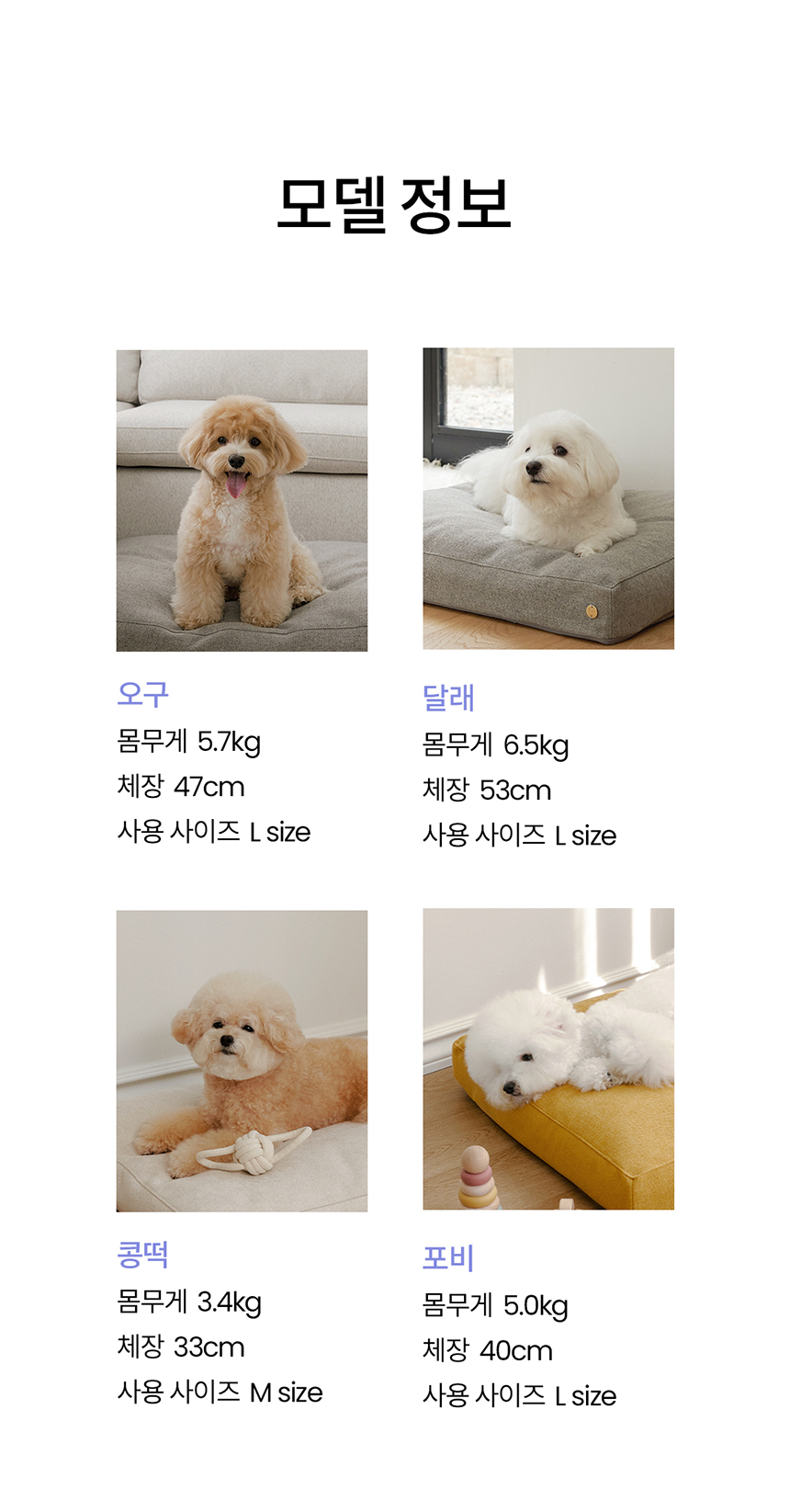 [무료배송] 리카리카 릴렉싱 더블 방석 크림/머스터드/그레이 M-L 23번째