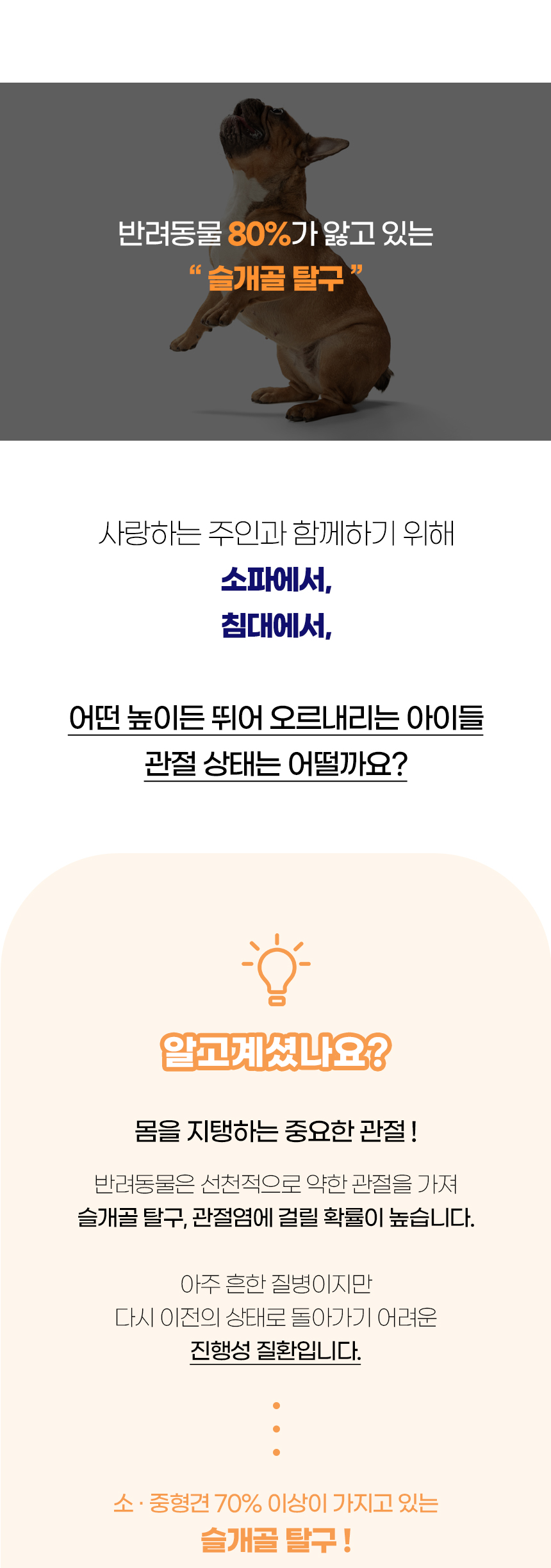 [NEW신상][무료배송] 개과천선 독 체커 펫스텝 계단 (아이보리/블루/브라운) 2번째