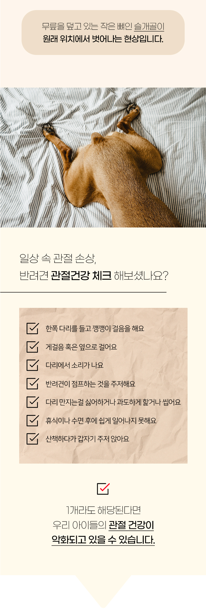 [NEW신상][무료배송] 개과천선 독 체커 펫스텝 계단 (아이보리/블루/브라운) 3번째