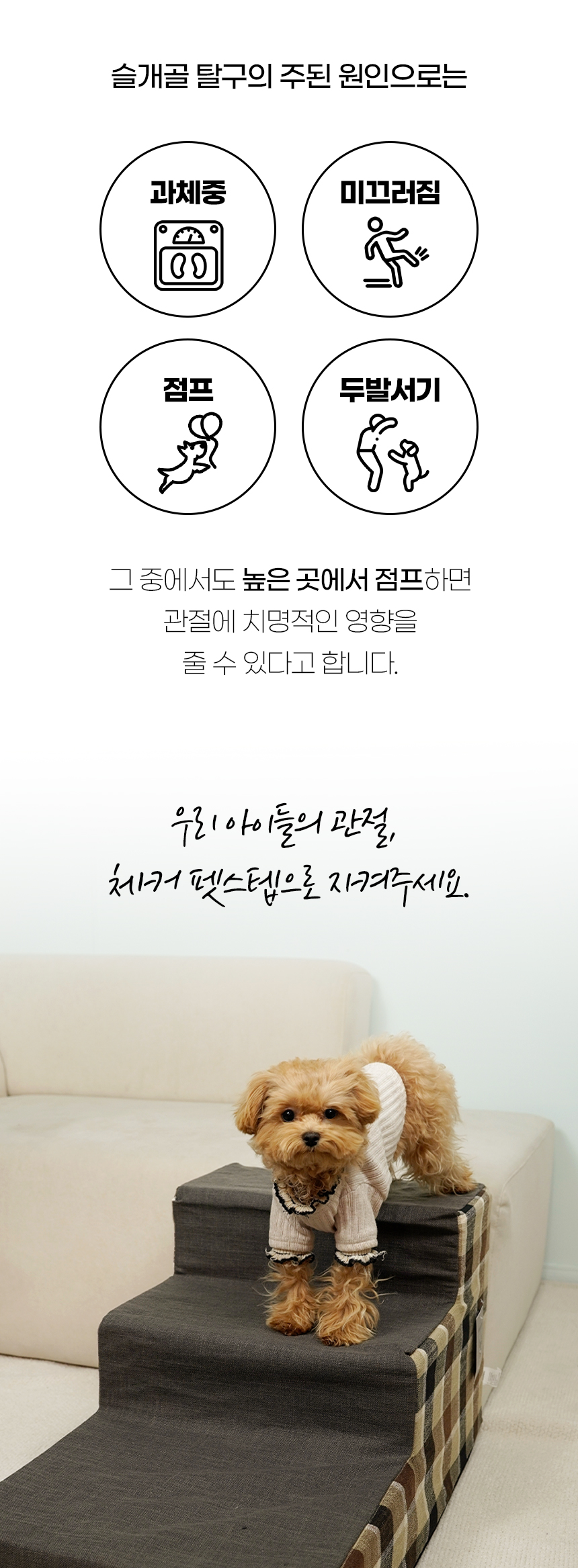 [NEW신상][무료배송] 개과천선 독 체커 펫스텝 계단 (아이보리/블루/브라운) 4번째