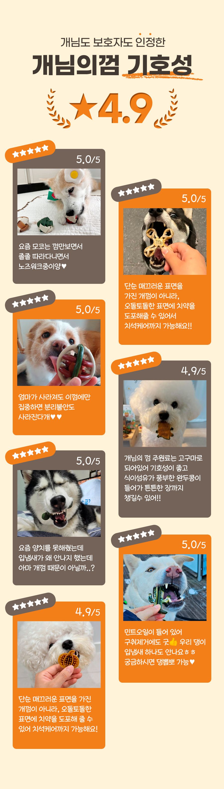 [웰컴딜][체험팩] 개님의상점 개님의껌 레틀즈볼 덴탈껌 1p 24번째 상세 이미지