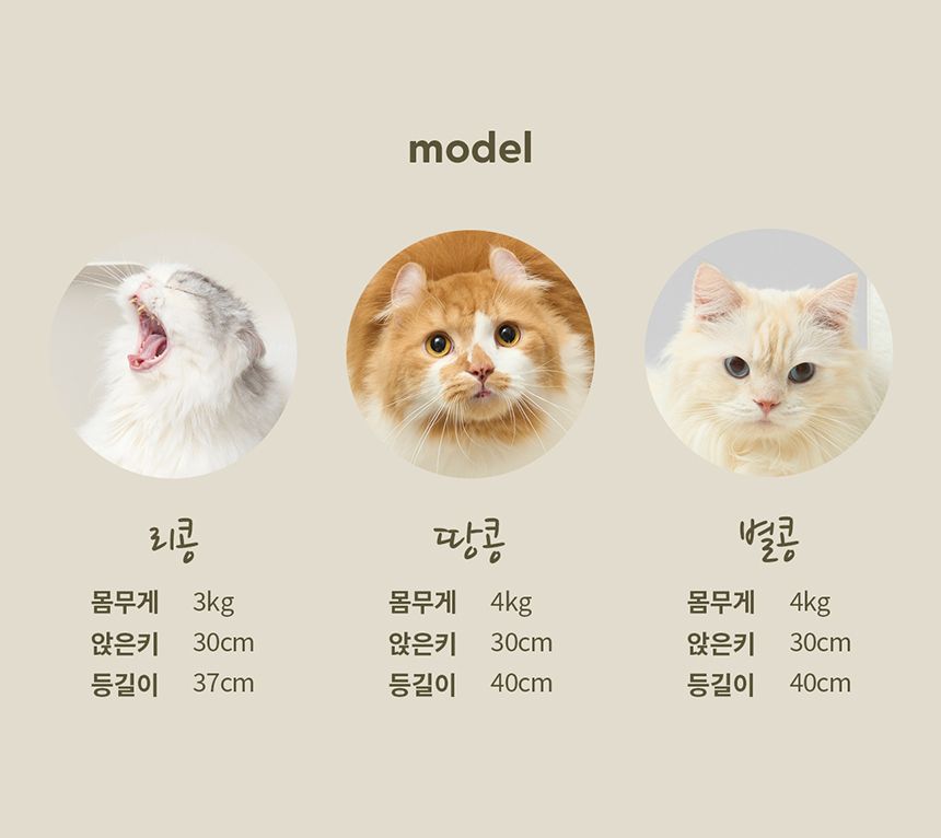 [NEW신상][무료배송] [3개] 두잇 토푸샌드 2.8kg 30번째