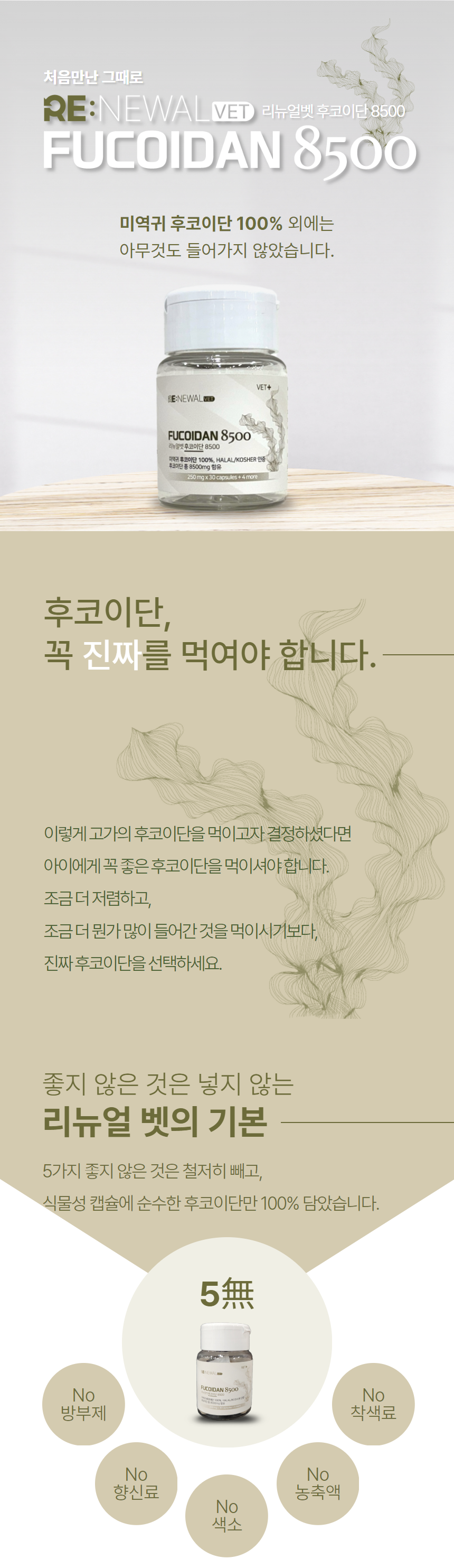 [무료배송] 리뉴얼벳 후코이단8500 캡슐형 34개입 1번째