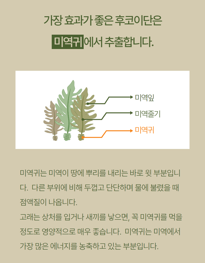 [무료배송] 리뉴얼벳 후코이단8500 캡슐형 34개입 4번째